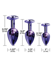 Nixie Metal Butt Plug Trainer Set w/Inlaid Jewel - Purple Metallic